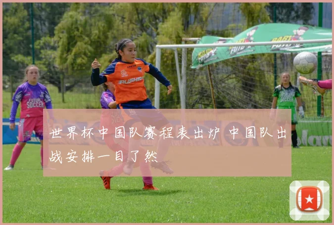 世界杯中国队赛程表出炉 中国队出战安排一目了然