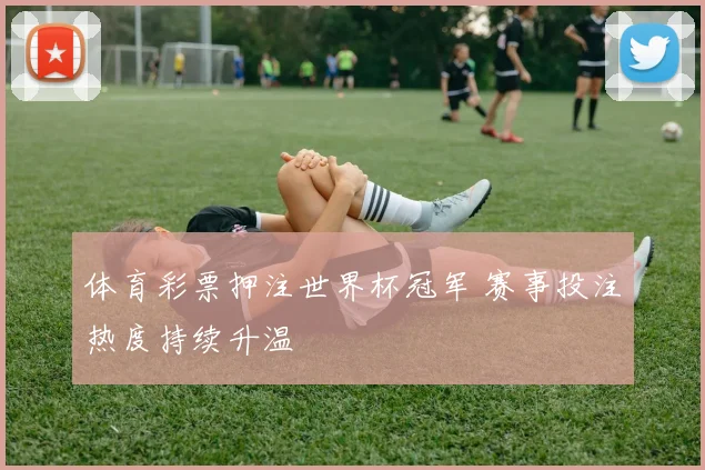 体育彩票押注世界杯冠军 赛事投注热度持续升温