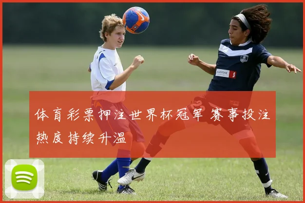 体育彩票押注世界杯冠军 赛事投注热度持续升温