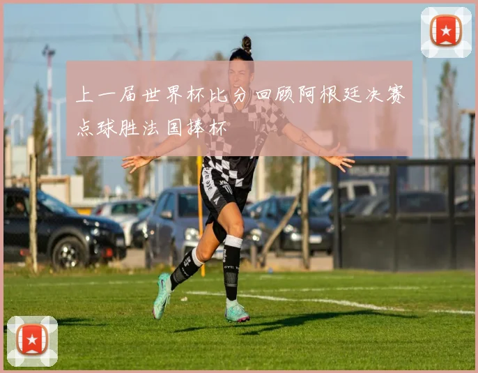 上一届世界杯比分回顾阿根廷决赛点球胜法国捧杯