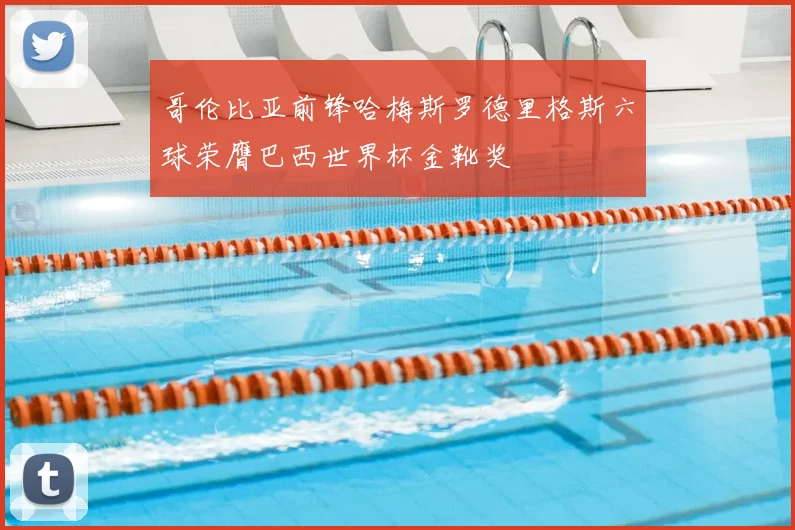 哥伦比亚前锋哈梅斯罗德里格斯六球荣膺巴西世界杯金靴奖